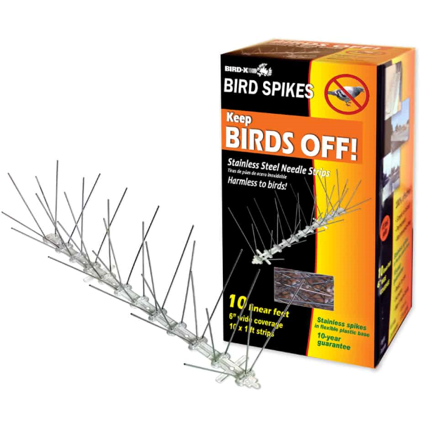 Stainless Steel Bird Spikes