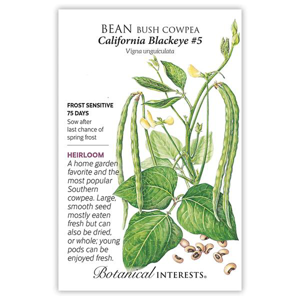 California Blackeye Bush Cowpea Bean Seeds