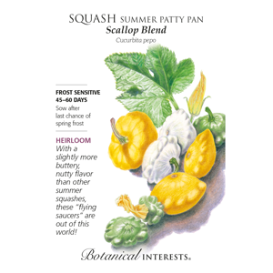 Scallop Blend Summer (Patty Pan) Squash Seeds