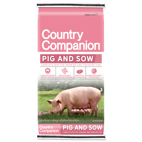 Pig and Sow Feed