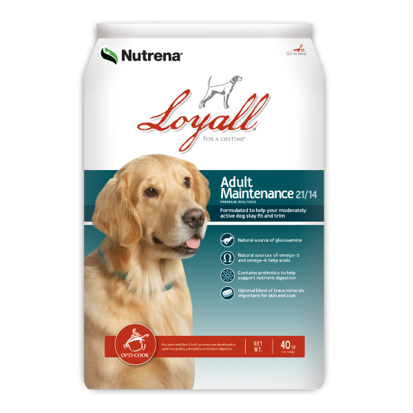Loyall Dog Food: Adult Maintenance 21/14