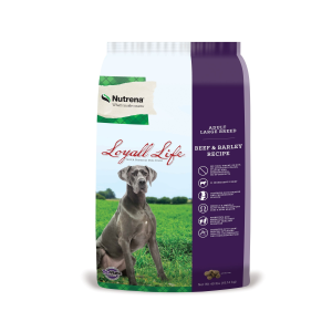 Adult, Large Breed, Beef and Barley Recipe Dog Food