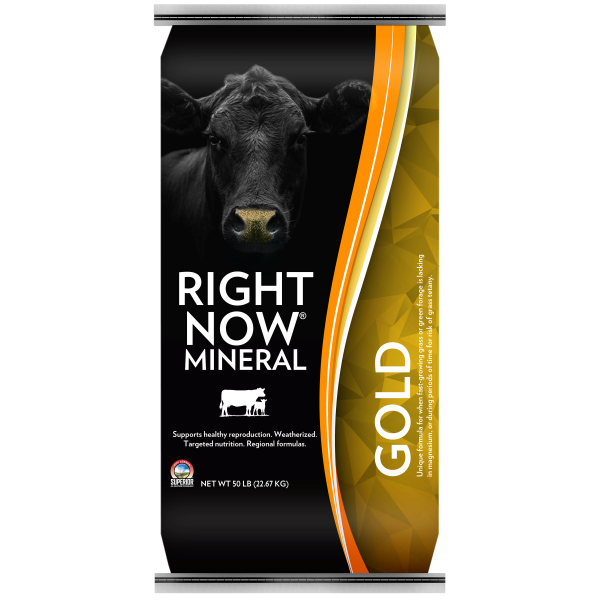 Gold Cattle Mineral