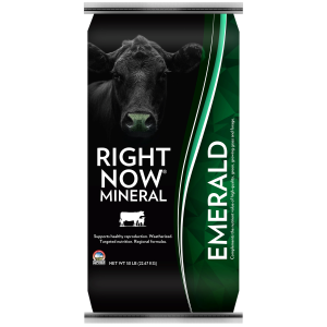 Emerald Biomos Calf Feed