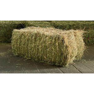Grass/Alfalfa Hay