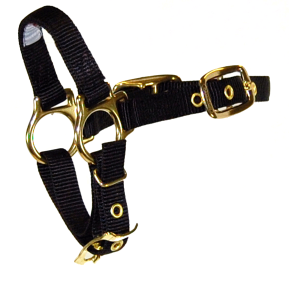 Sheep Halter with Adjustable Chin Strap