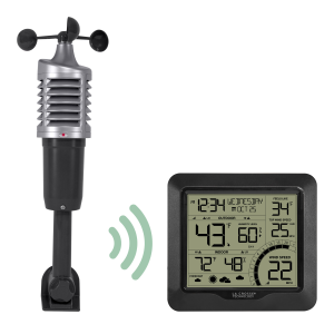 Professional Wind Speed Weather Station