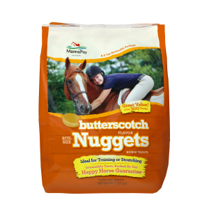 Butterscotch Nuggets Horse Treats