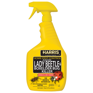 Lady Beetle and Boxelder Bug Killer