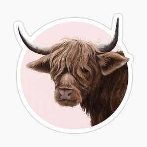 Highland Cattle Sticker