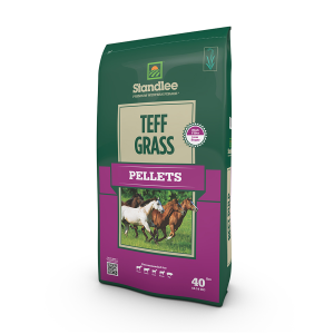 Teff Grass Pellets Horse Feed