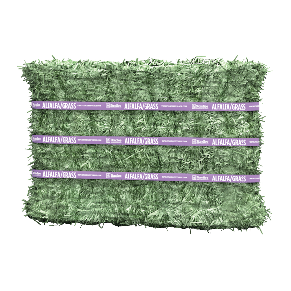 Premium Alfalfa/Grass Compressed Bale