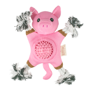 Farm and Friend Pig 2-in-1 Dog Toy