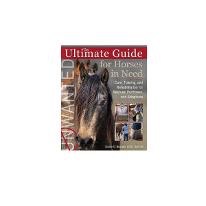 The Ultimate Guide for Horses in Need