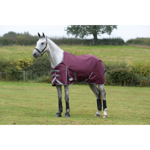 ComFiTec Plus Dynamic Standard Neck Horse Blanket