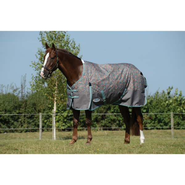 ComFiTec Essential Standard Neck Horse Blanket