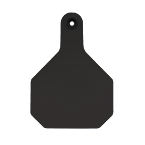 All American Large 4-Star Blank ID Tags