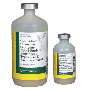 Ultrabac 7 Vaccine for Cattle & Sheep