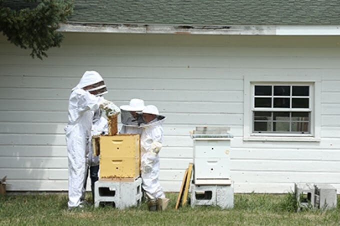 Registering Hobbyist Beehives & Other Important State Regulations