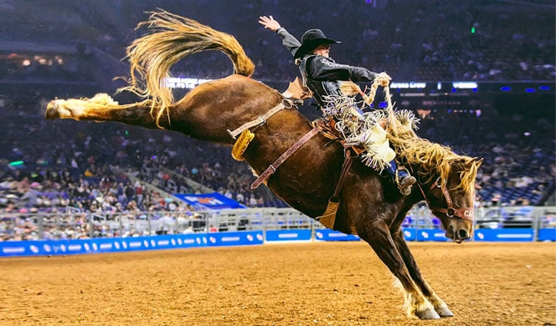 Rodeo Athlete Q&A  - Sage Newman