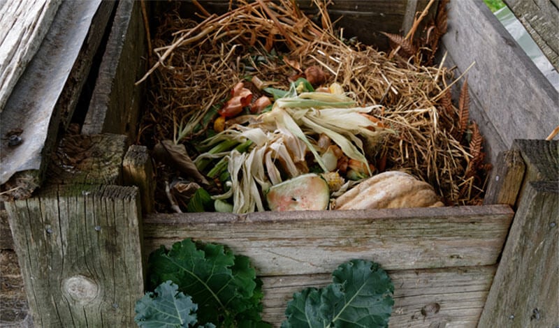 Getting Started with Home Composting