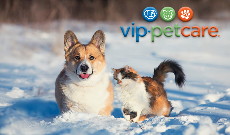 VIP Petcare Community Clinics